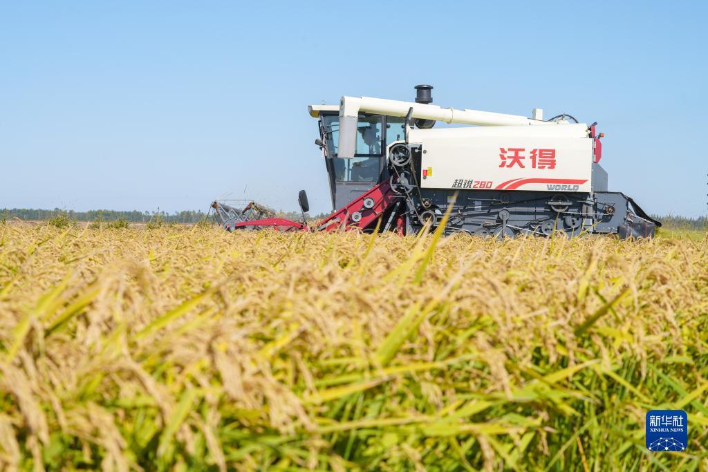 钱柜下载平台